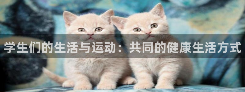 杏彩xc集团官网