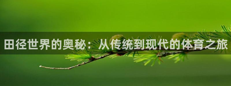 杏彩登录：田径世界的奥秘：从传统到现代的体育之旅