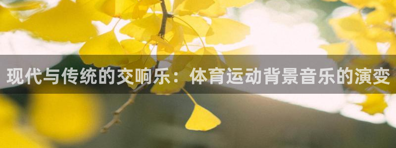 xc山地车是什么意思：现代与传统的交响乐：体育运动背景音乐的演变