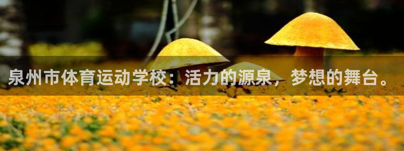 杏彩xc3登陆：泉州市体育运动学校：活力的源泉，梦想的舞台。