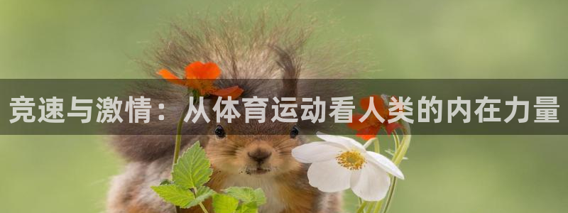 杏彩娱乐：竞速与激情：从体育运动看人类的内在力量