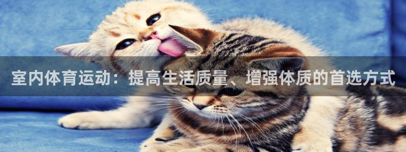 杏彩xc3官网：室内体育运动：提高生活质量、增强体质的首选方式