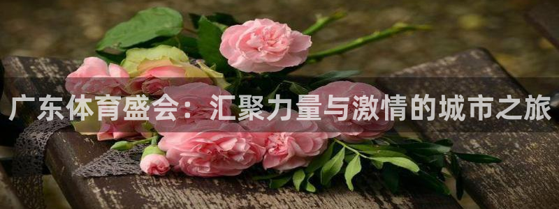 杏彩账号注册：广东体育盛会：汇聚力量与激情的城市之旅