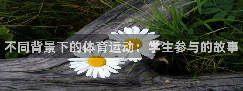 xc@：不同背景下的体育运动：学生参与的故事