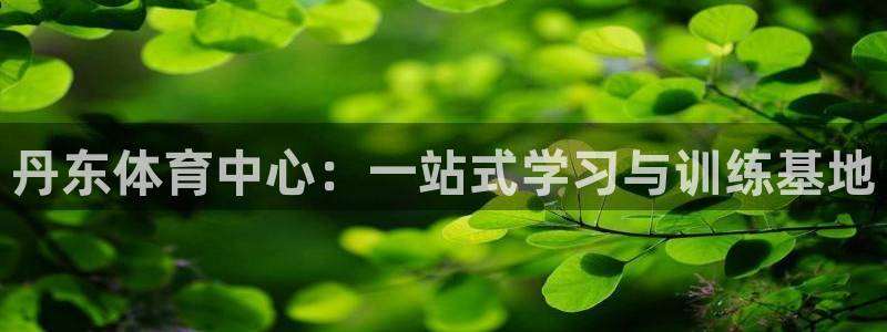 杏彩xc体育官网入口登录：丹东体育中心：一站式学习与训练基地