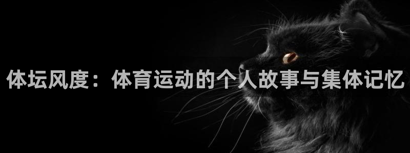 杏彩xc官网入口：体坛风度：体育运动的个人故事与集体记忆