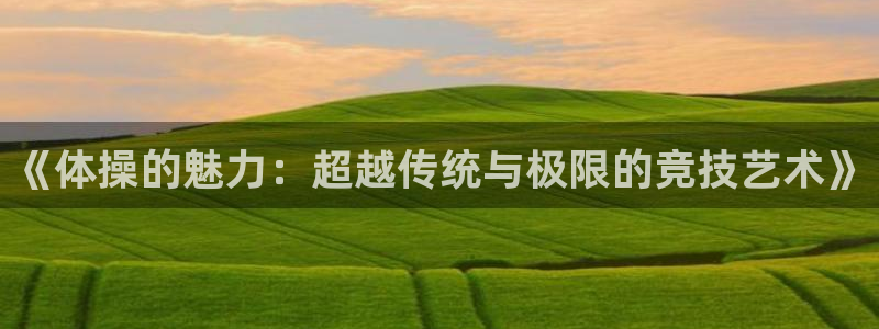 xc9：《体操的魅力：超越传统与极限的竞技艺术》