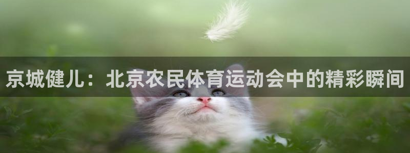杏彩官网：京城健儿：北京农民体育运动会中的精彩瞬间
