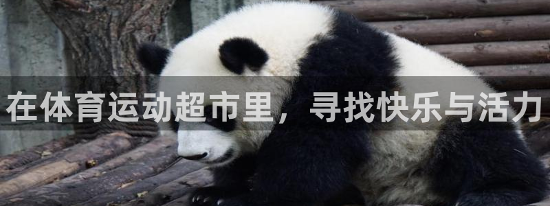 杏彩xc集团：在体育运动超市里，寻找快乐与活力