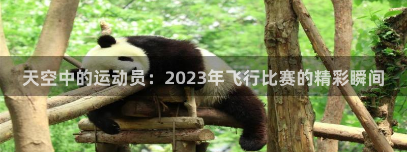 杏彩xc股份：天空中的运动员：2023年飞行比赛的精彩瞬间