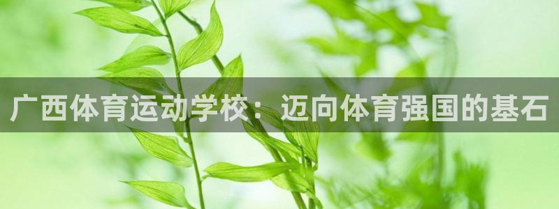 17c.xc：广西体育运动学校：迈向体育强国的基石