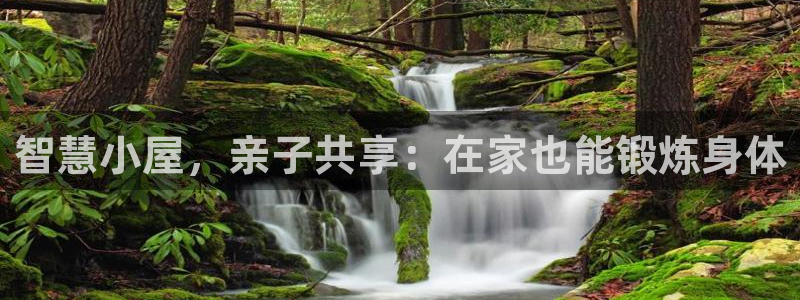 xc是什么英文缩写：智慧小屋，亲子共享：在家也能锻炼身体