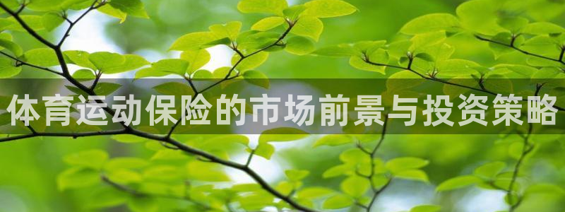 杏彩xc2登录地址：体育运动保险的市场前景与投资策略