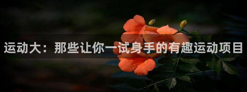 xc90 沃尔沃：运动大：那些让你一试身手的有趣运动项目