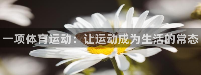 xc是什么缩写：一项体育运动：让运动成为生活的常态