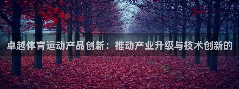 12年沃尔沃xc90怎么样：卓越体育运动产品创新：推动产业升级与技术创新的