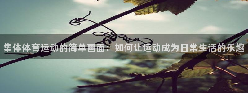 杏彩xc集团官网：集体体育运动的简单画面：如何让运动成为日常生活的乐趣