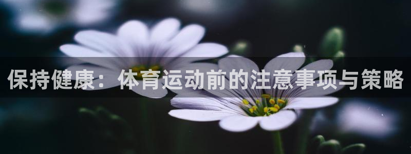 杏彩xc集团：保持健康：体育运动前的注意事项与策略