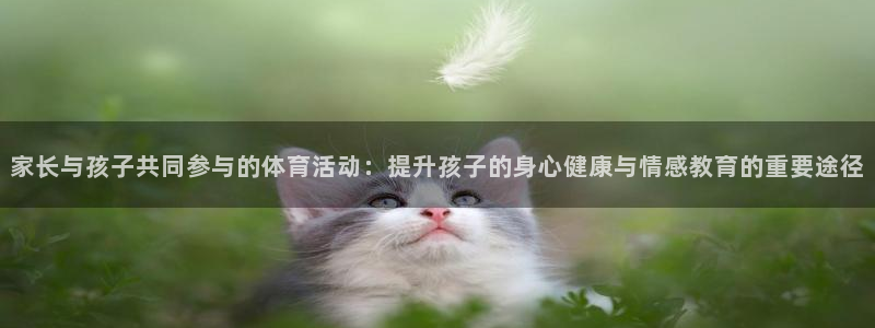 杏彩xc4开户