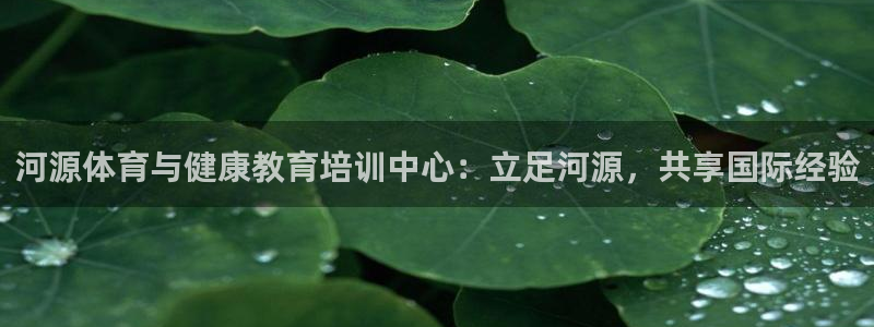 杏彩xc平台