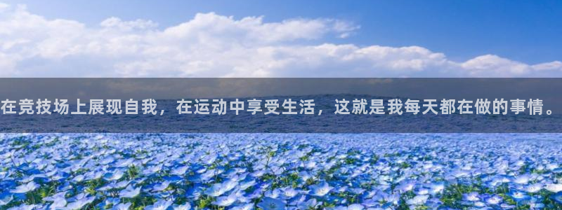 xc是什么挖机