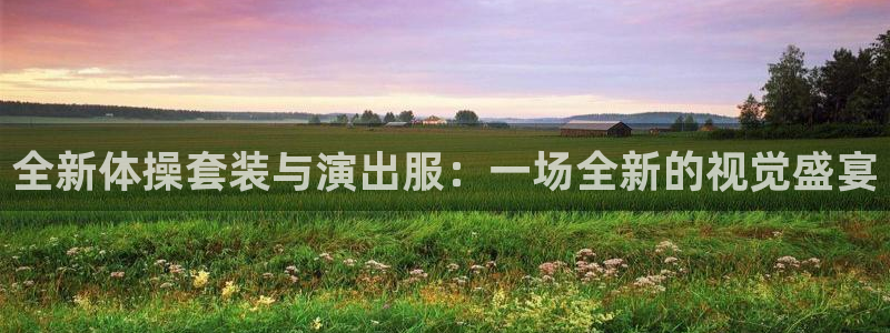 xc啥意思：全新体操套装与演出服：一场全新的视觉盛宴