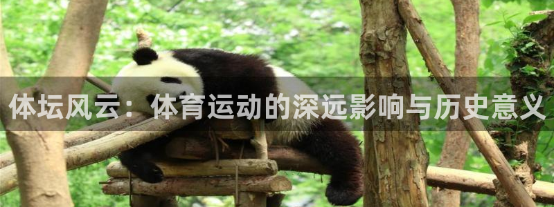 杏彩xc体育4：体坛风云：体育运动的深远影响与历史意义